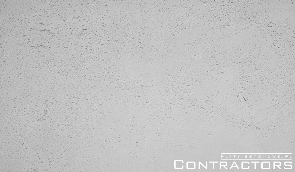 Płyta betonowa 60x120cm jasny szary (naturalny)
