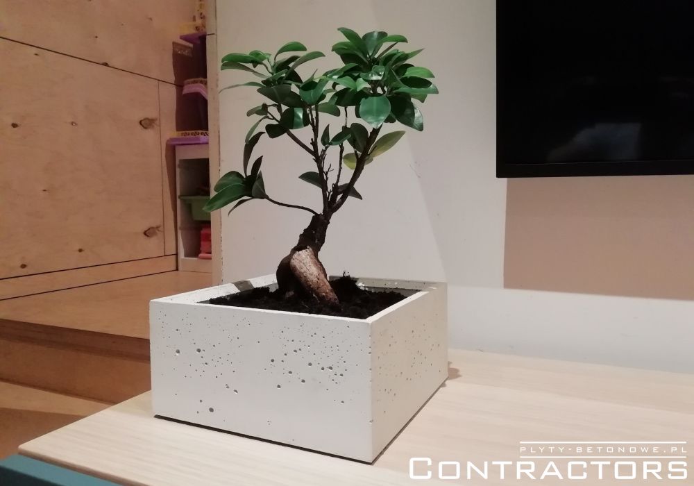 Doniczka betonowa do bonsai